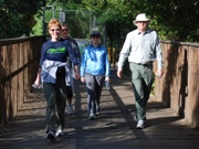 Los Gatos Walk