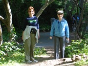 Los gatos Walk